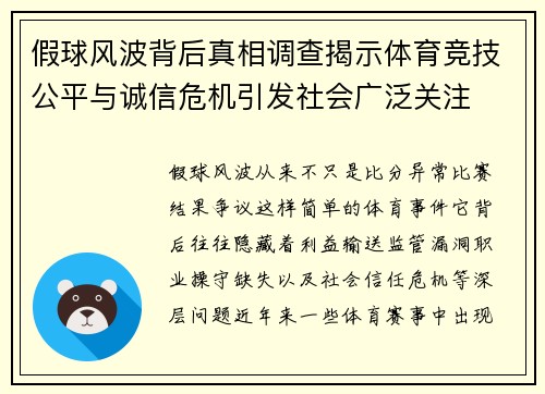 假球风波背后真相调查揭示体育竞技公平与诚信危机引发社会广泛关注